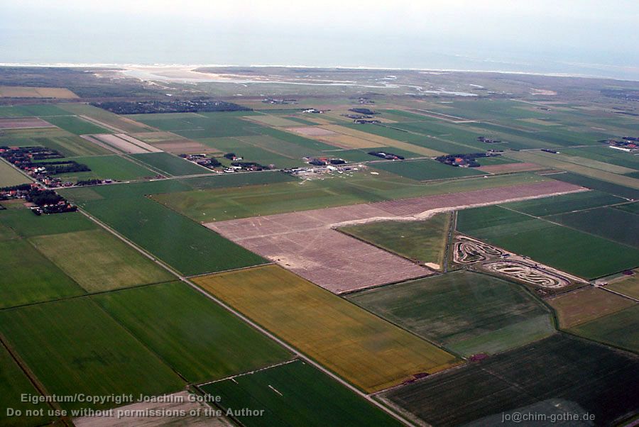 101MSD-DSC00819_DSC00819 Texel EHTX